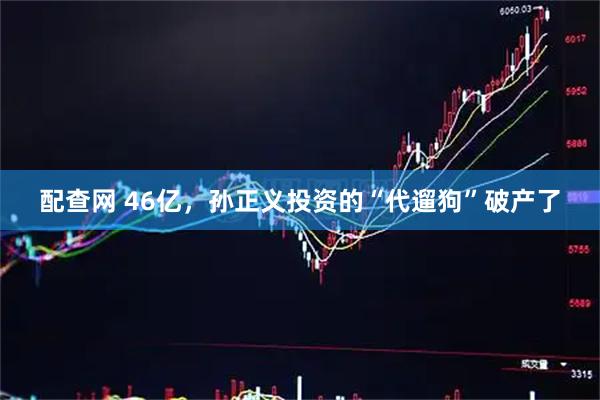 配查网 46亿，孙正义投资的“代遛狗”破产了