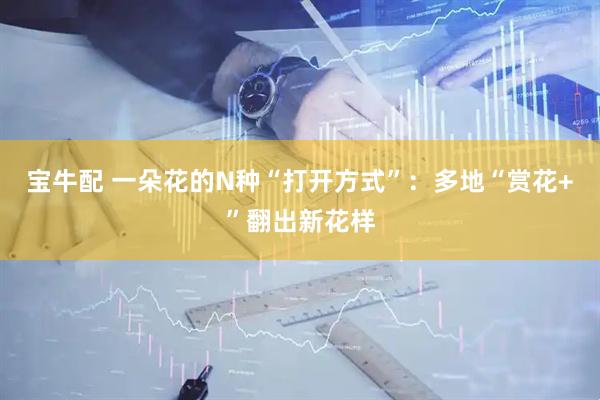 宝牛配 一朵花的N种“打开方式”：多地“赏花+”翻出新花样