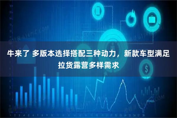 牛来了 多版本选择搭配三种动力，新款车型满足拉货露营多样需求