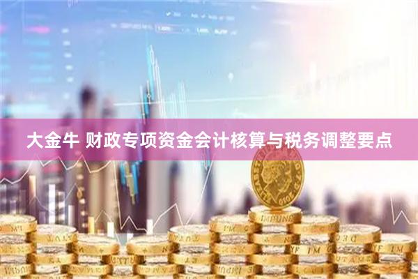 大金牛 财政专项资金会计核算与税务调整要点