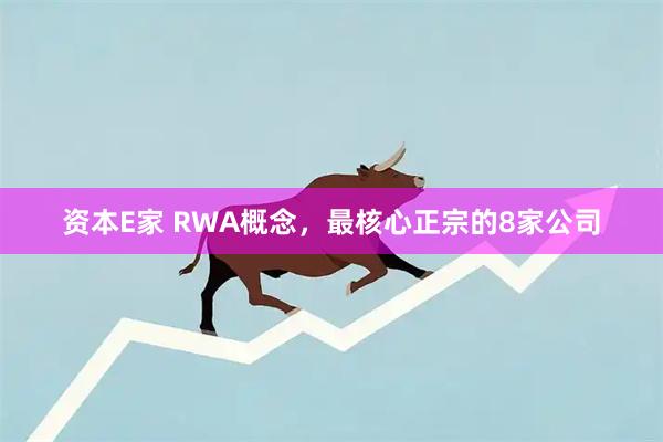 资本E家 RWA概念，最核心正宗的8家公司
